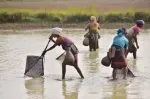 UP women farmers integrate agriculture with fish farming