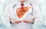 Why it is important to keep your liver healthy