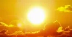 IMD issues red alert for several Odisha districts over severe heat wave conditions