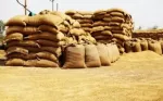 Punjab expected to procure 132 lakh metric tons wheat: Chief Secretary